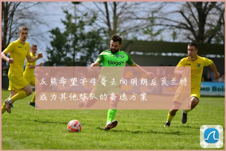 灰熊希望字母哥去向明朗后莫兰特成为其他球队的备选方案